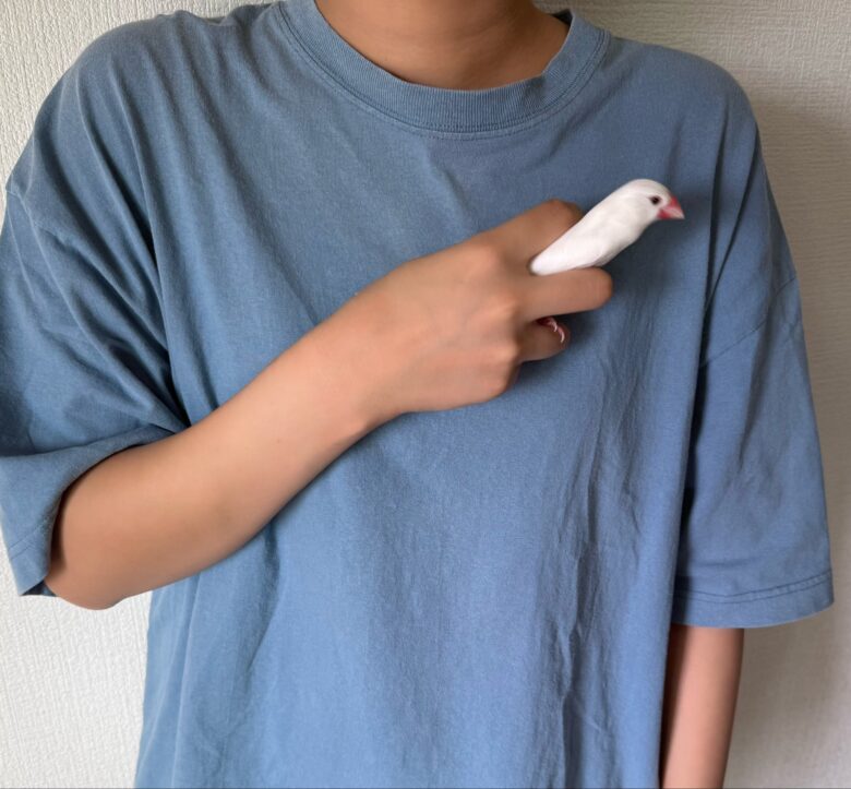 元ポストの画像2