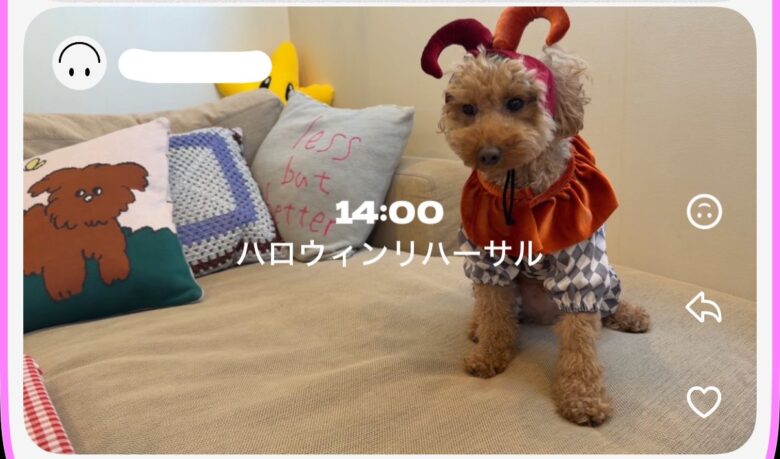 元ポストの画像3