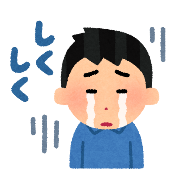 記事で紹介された画像